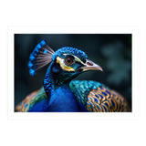 Peacock Head Close Up Majestic Blue Bird (Print Only) thumbnail