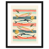 Sardines On Stripes
