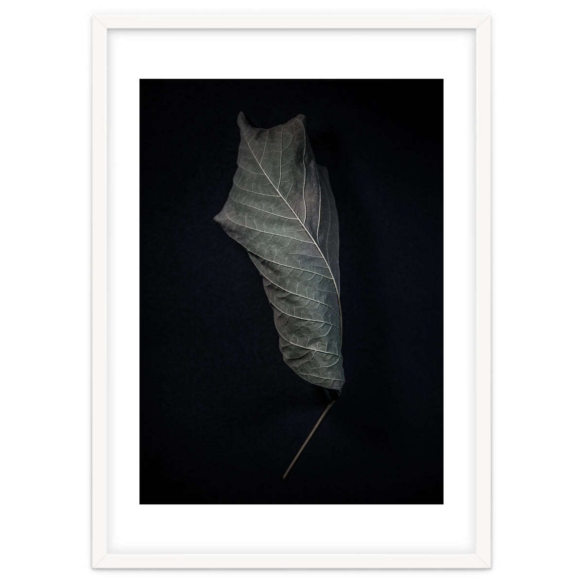 Leaves No 3 Color Version