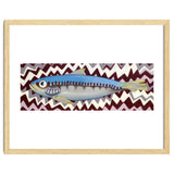 Sardine thumbnail