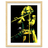Ian Anderson Musician Legend thumbnail