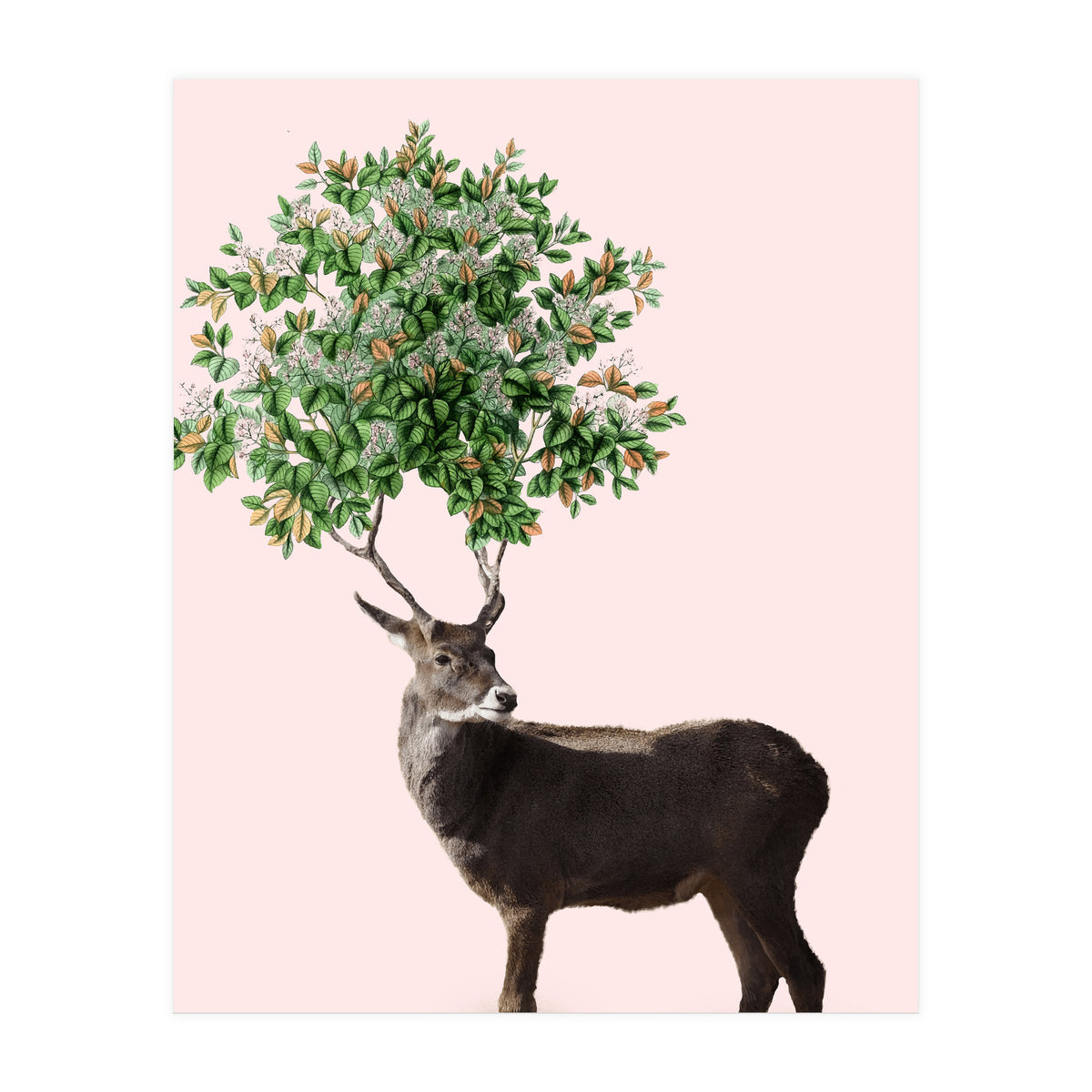 One With Nature V2 (Print Only)