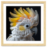 Close Up Of A Cockatoo With Yellow Crest thumbnail