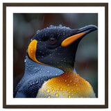 King Penguin Standing In Rain With Water Drops Nature Photography thumbnail
