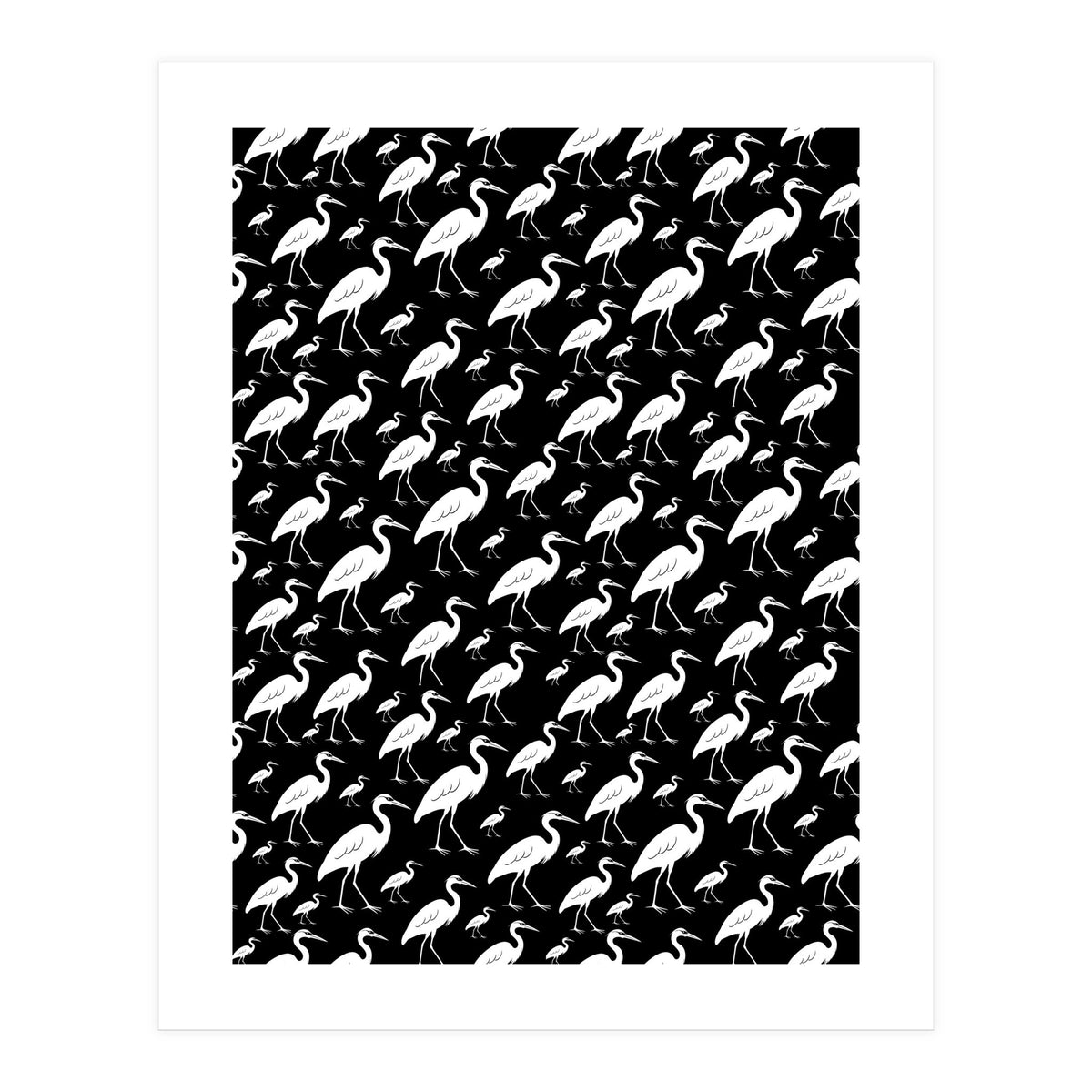 Egrets  (Print Only)