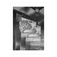 Evolving | Black & White (Print Only)