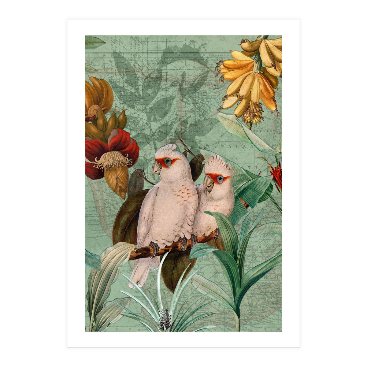 Green Cockatoo Exotic Bird Jungle  (Print Only)