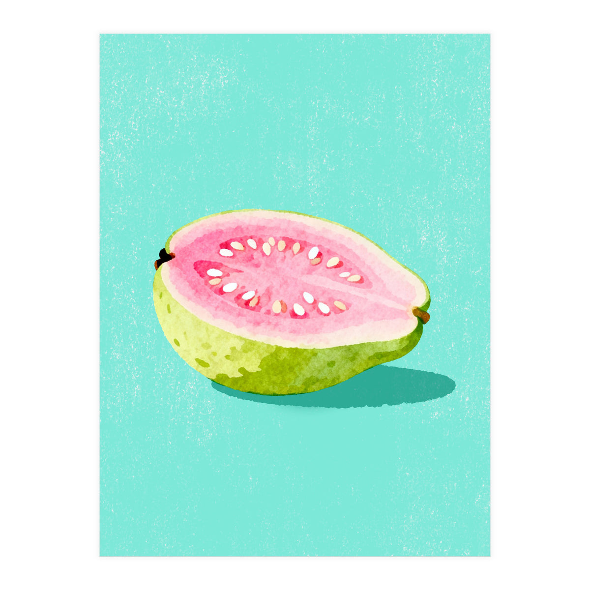 Guava Fruit Illustration (Print Only)