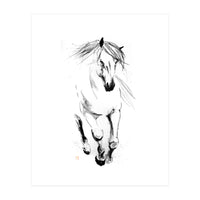 Runninh Ghorse In Water (Print Only)