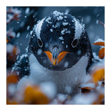 Close Up Of A Gentoo Penguin In The Snow (Print Only) thumbnail