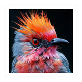 Close Up Of Exotic Bird With Vibrant Plumage (Print Only) thumbnail