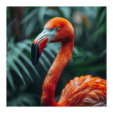 Close Up Of A Vibrant Orange Flamingo Bird (Print Only) thumbnail