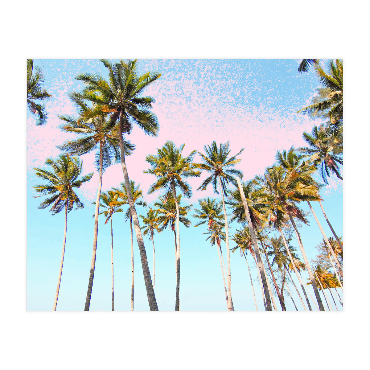 Coconut Palms #society6 #decor #buyart (Print Only)