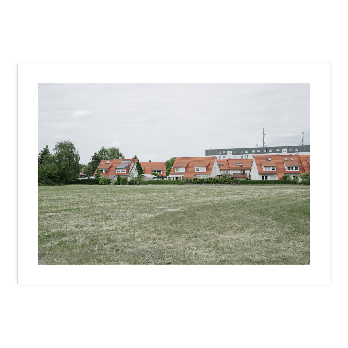 Red roof houses in the green field (Print Only)