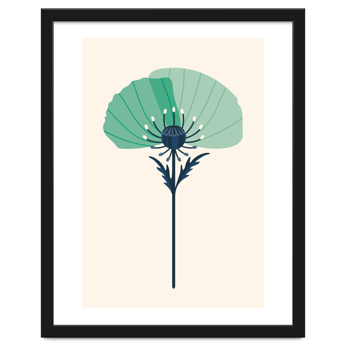 Teal Half Poppy