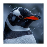 Close Up Penguin Portrait In Snowy Weather (Print Only) thumbnail