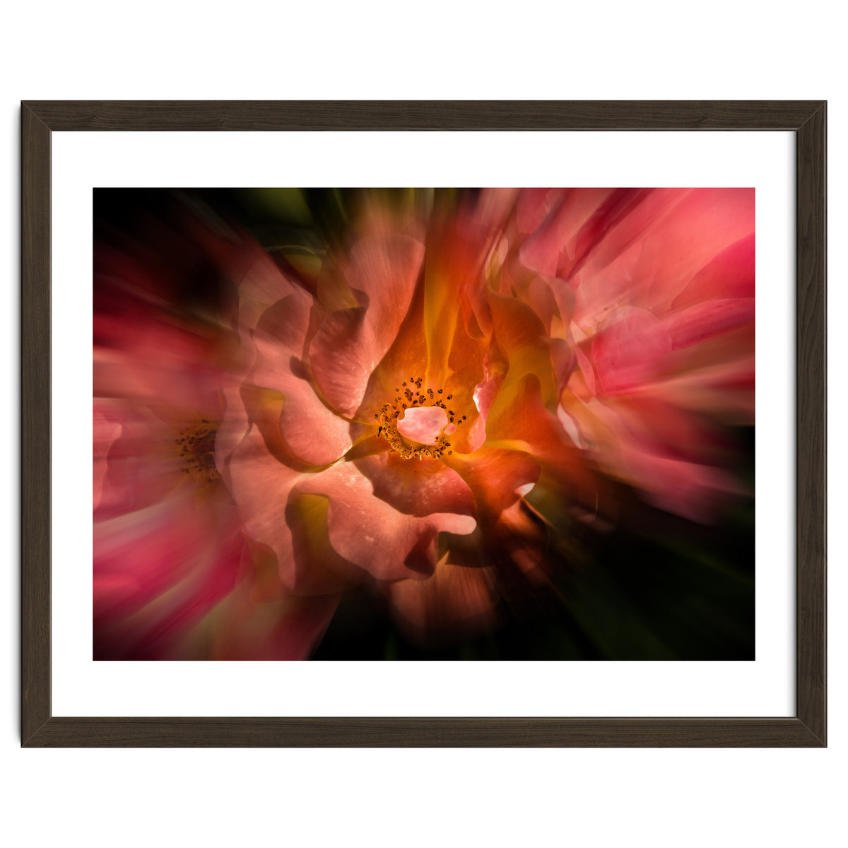 Backyard Flowers No 40 Color Flow Version