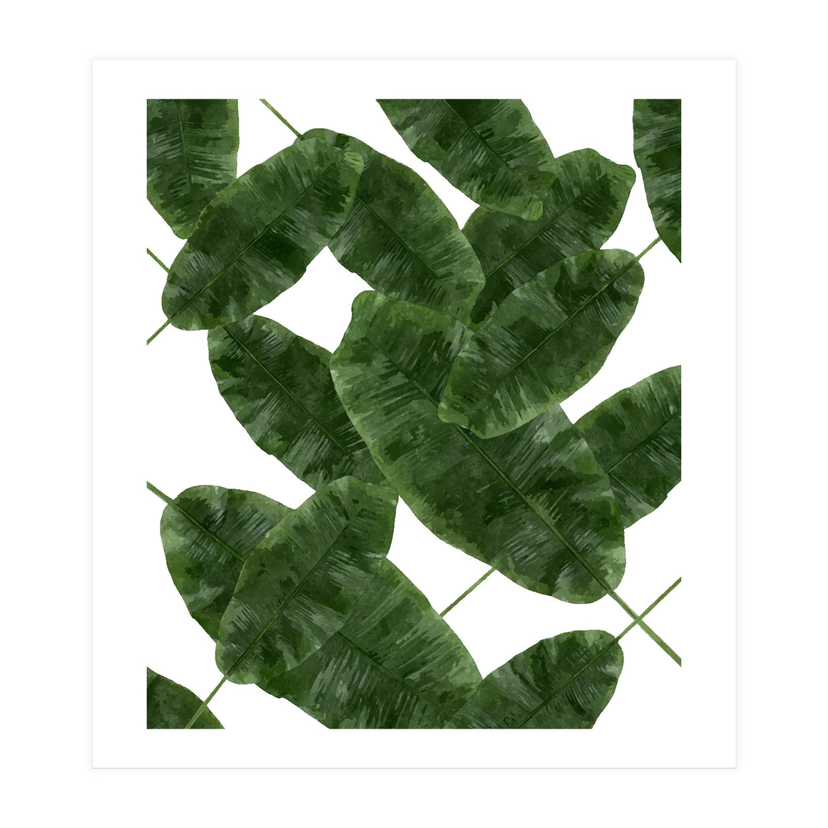 Banana Leaves V2 (Print Only)