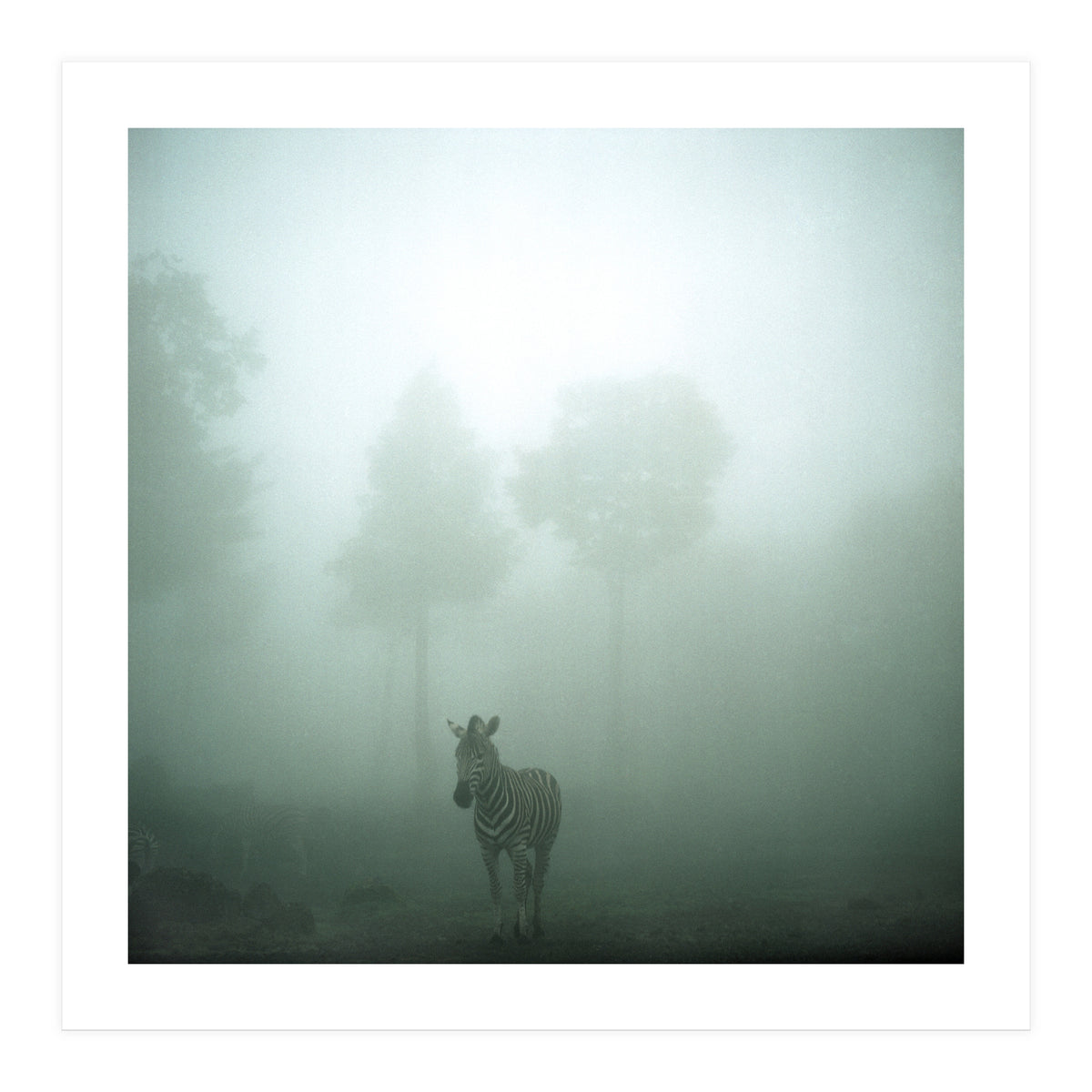 Silence of breath - 01 (Print Only)