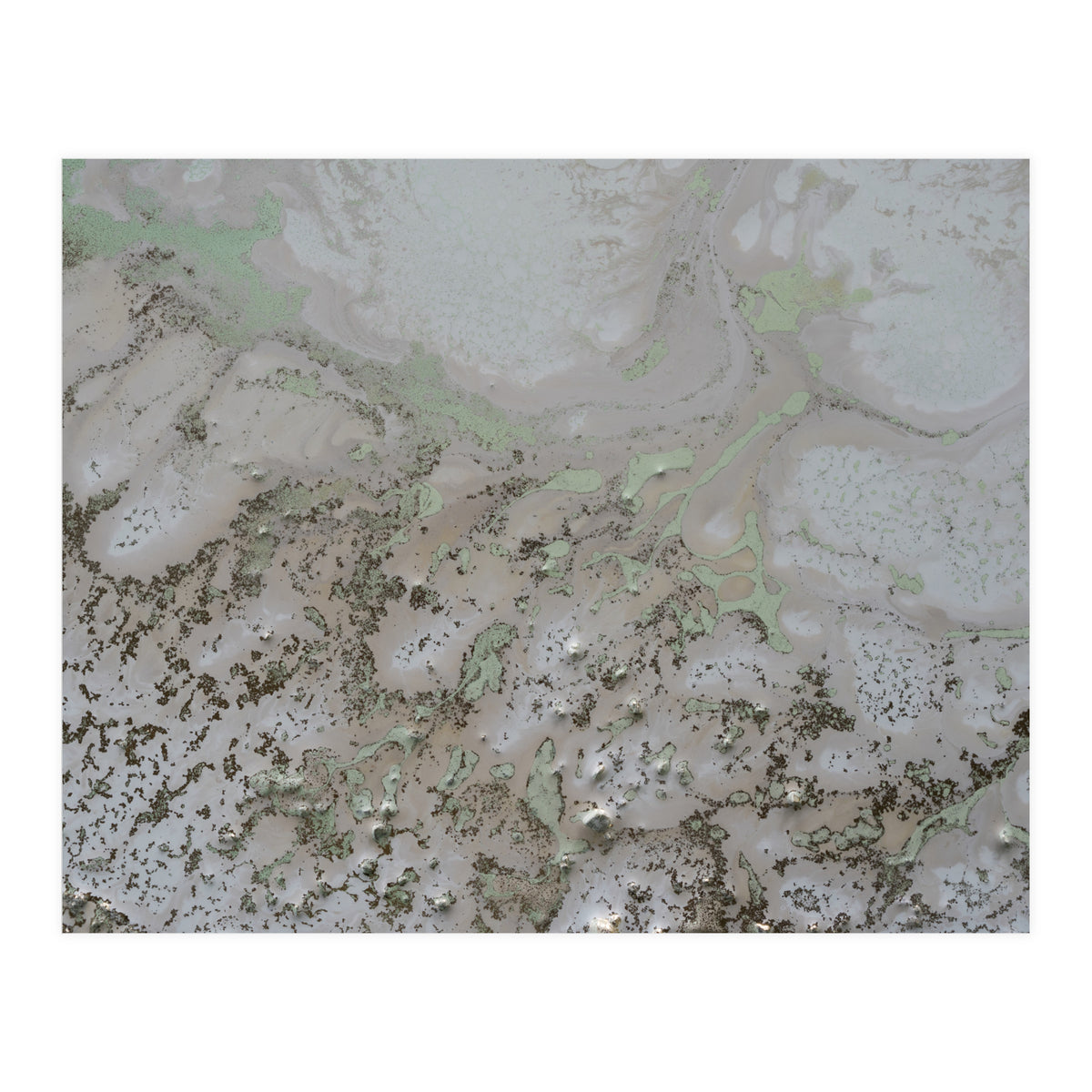 Life And Souls (Print Only)