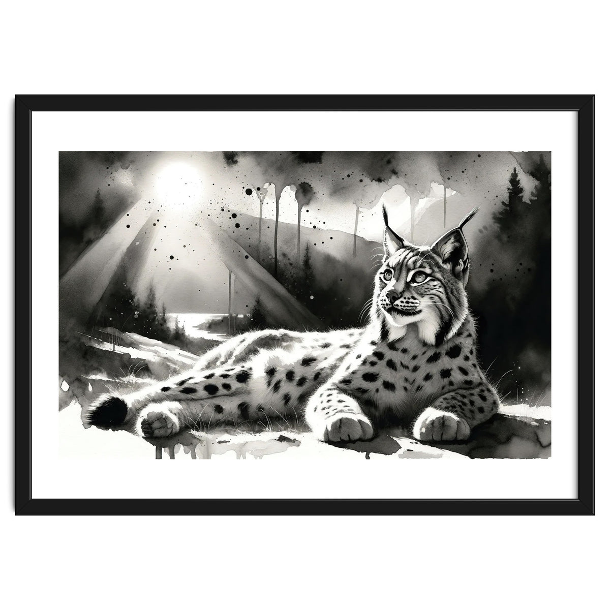 Lynx Resting In Sunlight
