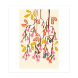 Fuchsia Flower Affection Light (Print Only) thumbnail