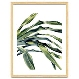 Green Palm Leaves thumbnail