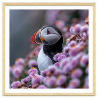 Atlantic Puffin Amidst Pink Heather Flowers