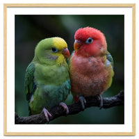 Two Lovebirds Sitting Together On A Branch