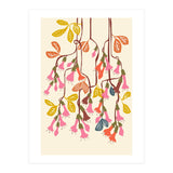 Fuchsia Flower Affection Light (Print Only) thumbnail