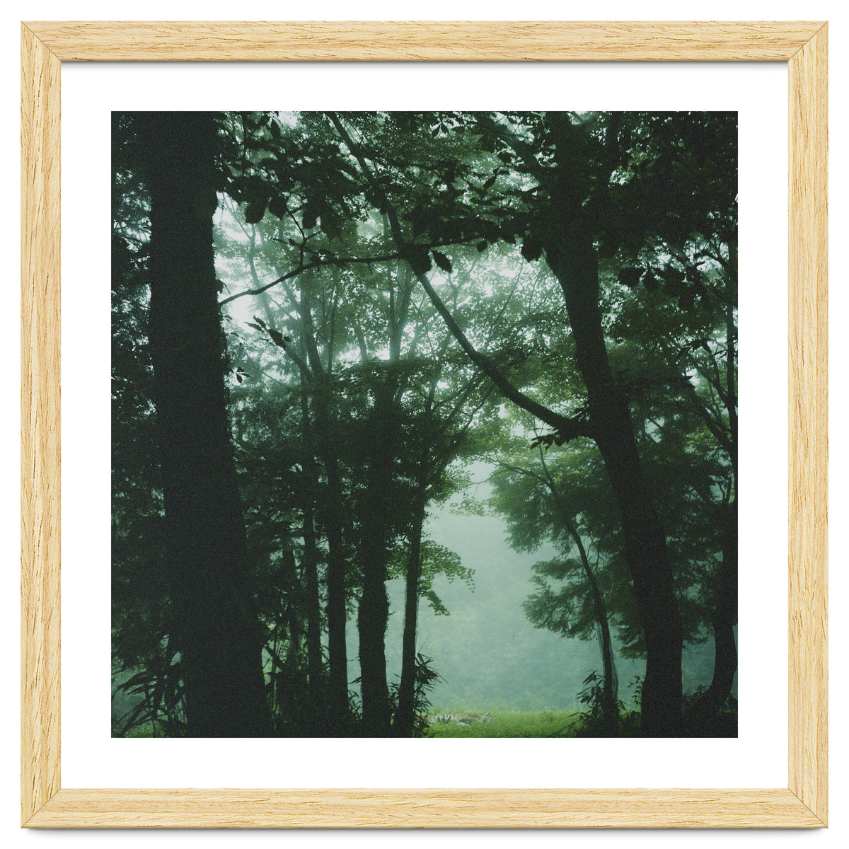 Silence of breath - 13