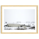Blackbirds surrounding a frozen pond in winter thumbnail