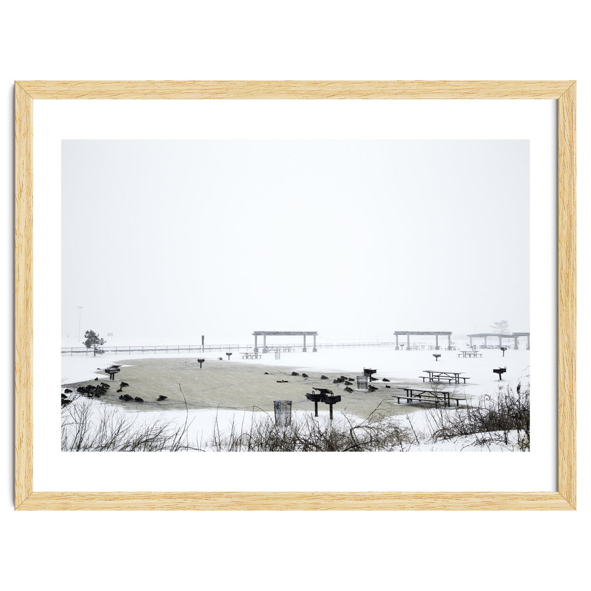 Blackbirds surrounding a frozen pond in winter
