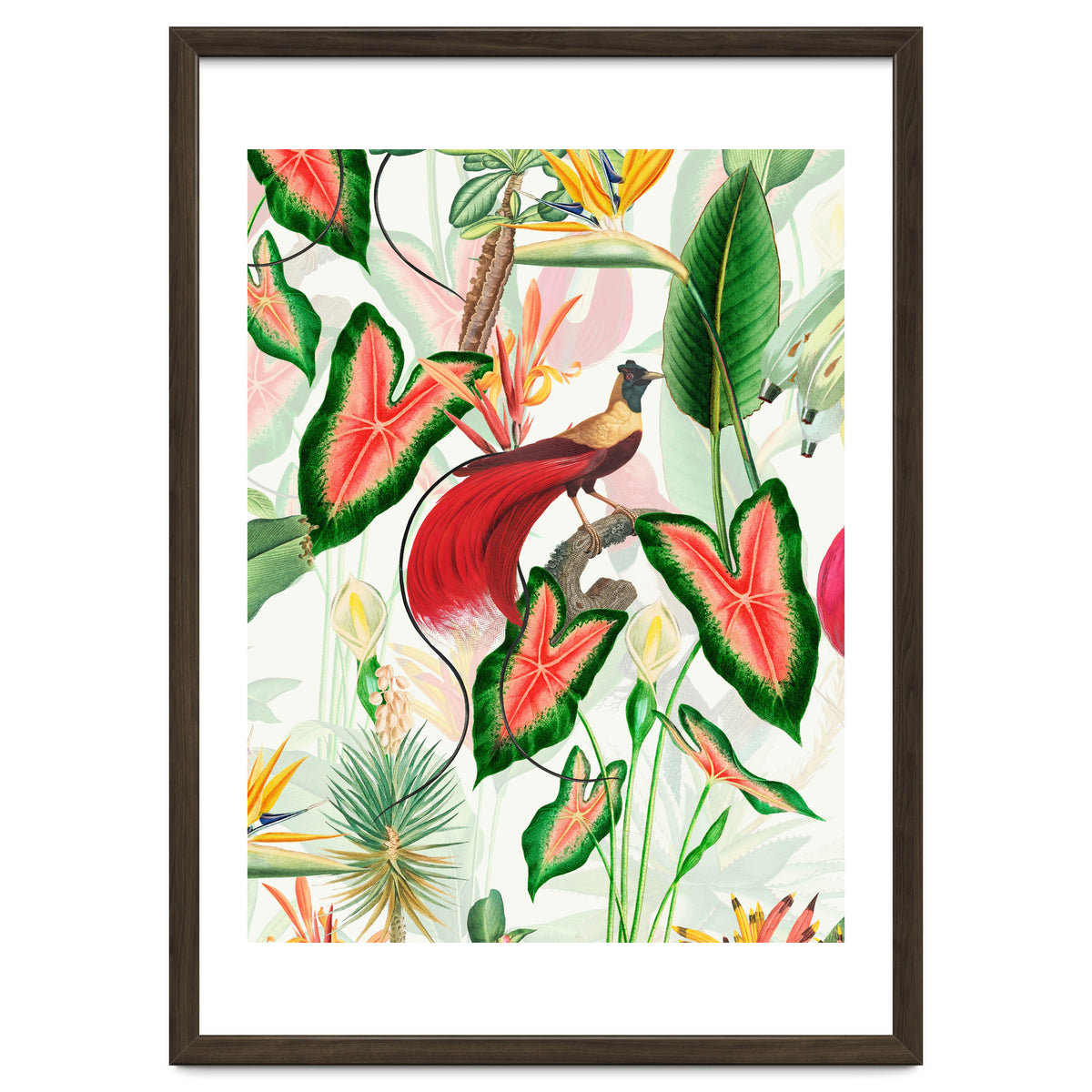 Vintage Bird Of Paradise in Jungle