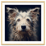 Old Dog 07 thumbnail