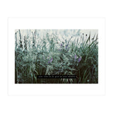 Photography - Summer Garden (Print Only) thumbnail