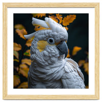 Yellow Crested Cockatoo Portrait Autumn Leaves Dark