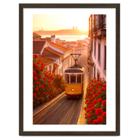 The Charm of a Classic City Tram