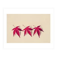 Dancing Leaves (Print Only)