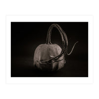 Gourds No 14 (Print Only)