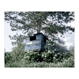 Blue hut on the tree (Print Only) thumbnail