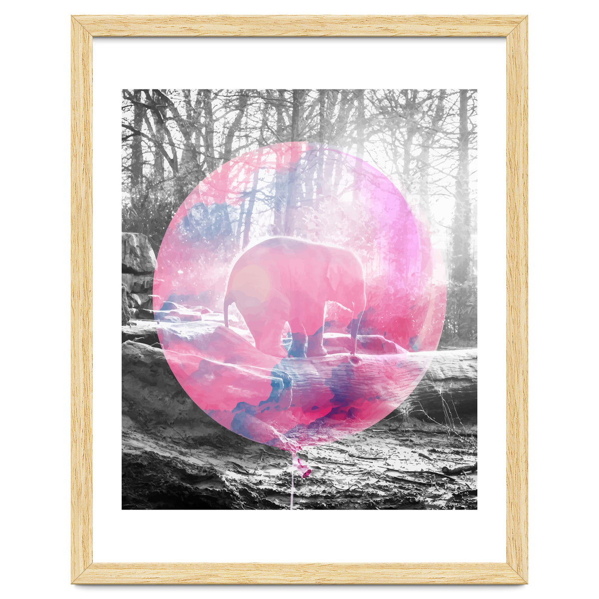 Baby Elephant In A Balloon