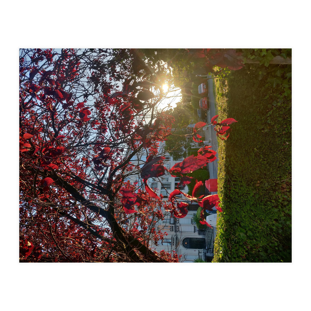 Autumn’s Embrace (Print Only)