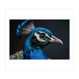 Close Up Peacock Head Blue Green Feather  (Print Only) thumbnail
