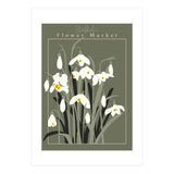 Flower Market Stockholm  Snowdrop (Print Only) thumbnail