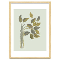 Olivia muted botanical oils