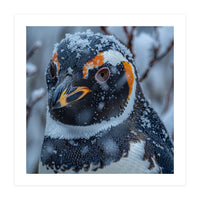 Penguin In Snow Falling Close Up Portrait (Print Only)