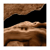 Brown & Gold Agate Texture 13 (Print Only) thumbnail