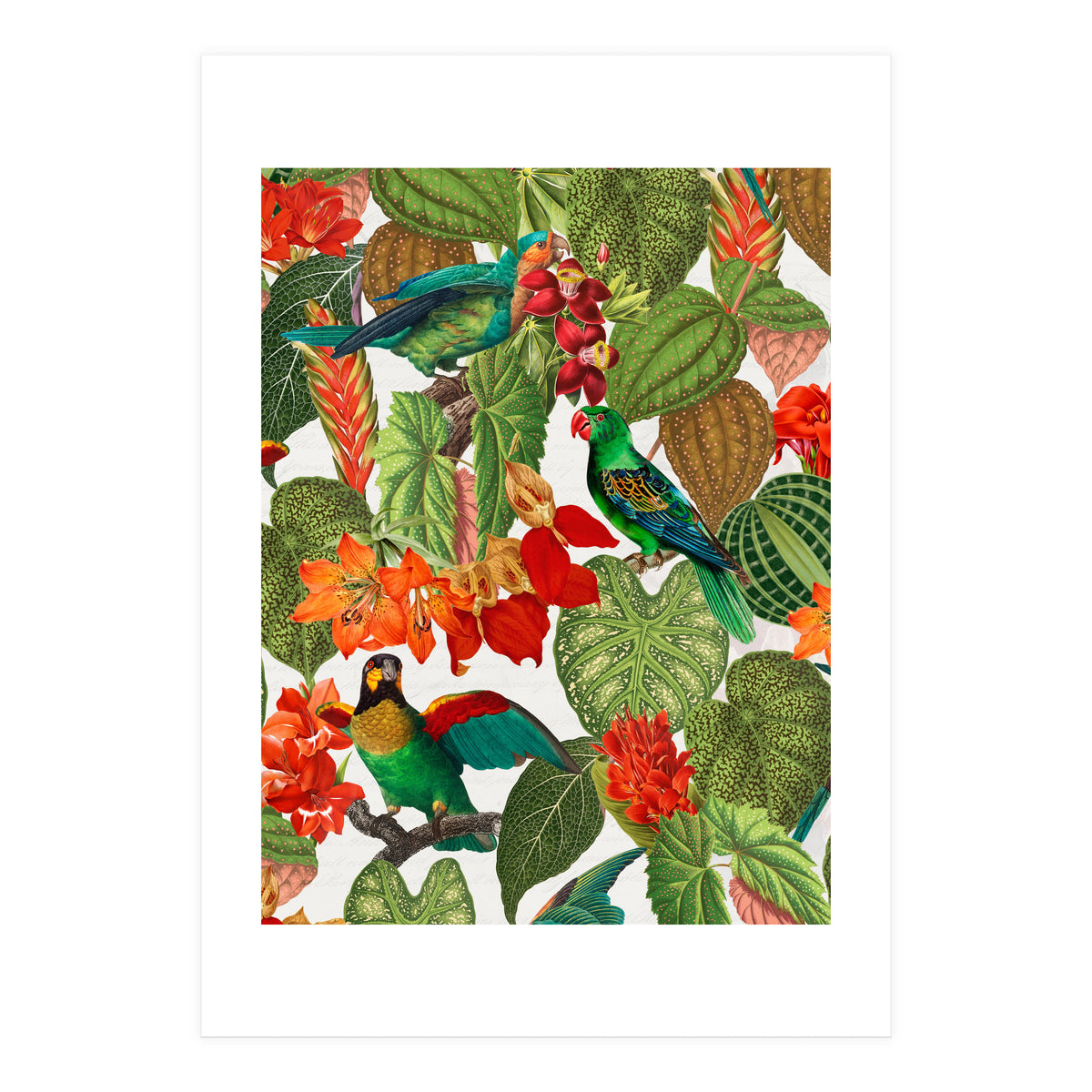Tropical Parrots In Flower Jungle  (Print Only)