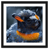 Close Up Penguin In Snow With Water Droplets thumbnail